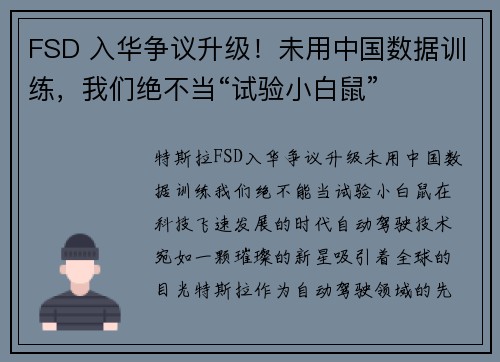 FSD 入华争议升级！未用中国数据训练，我们绝不当“试验小白鼠”