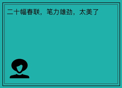 二十幅春联，笔力雄劲，太美了