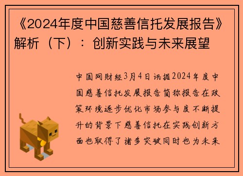 《2024年度中国慈善信托发展报告》解析（下）：创新实践与未来展望